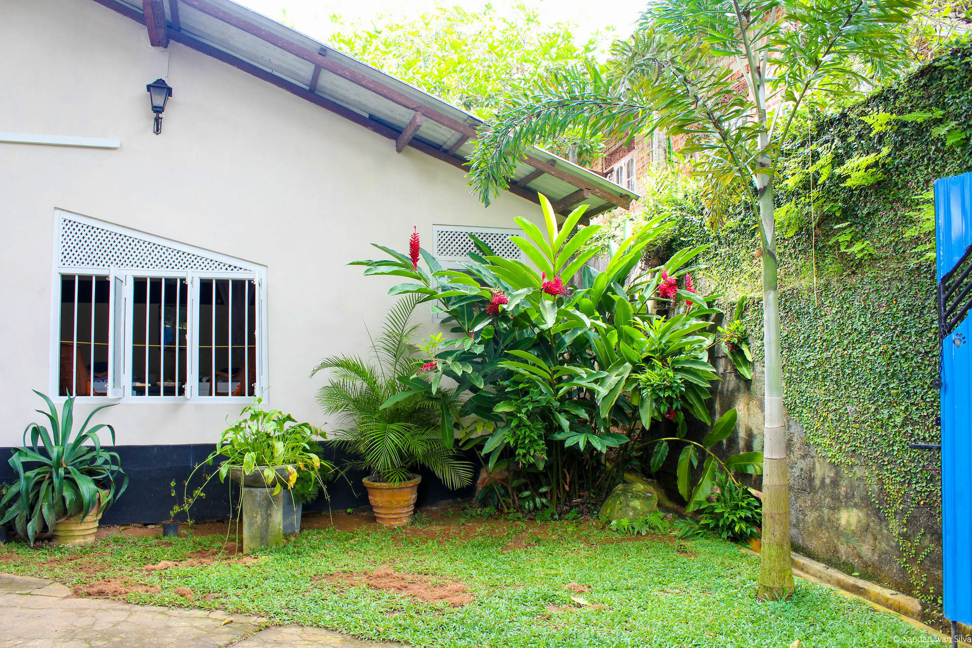 Anne's Maisonnette Galle Extérieur photo